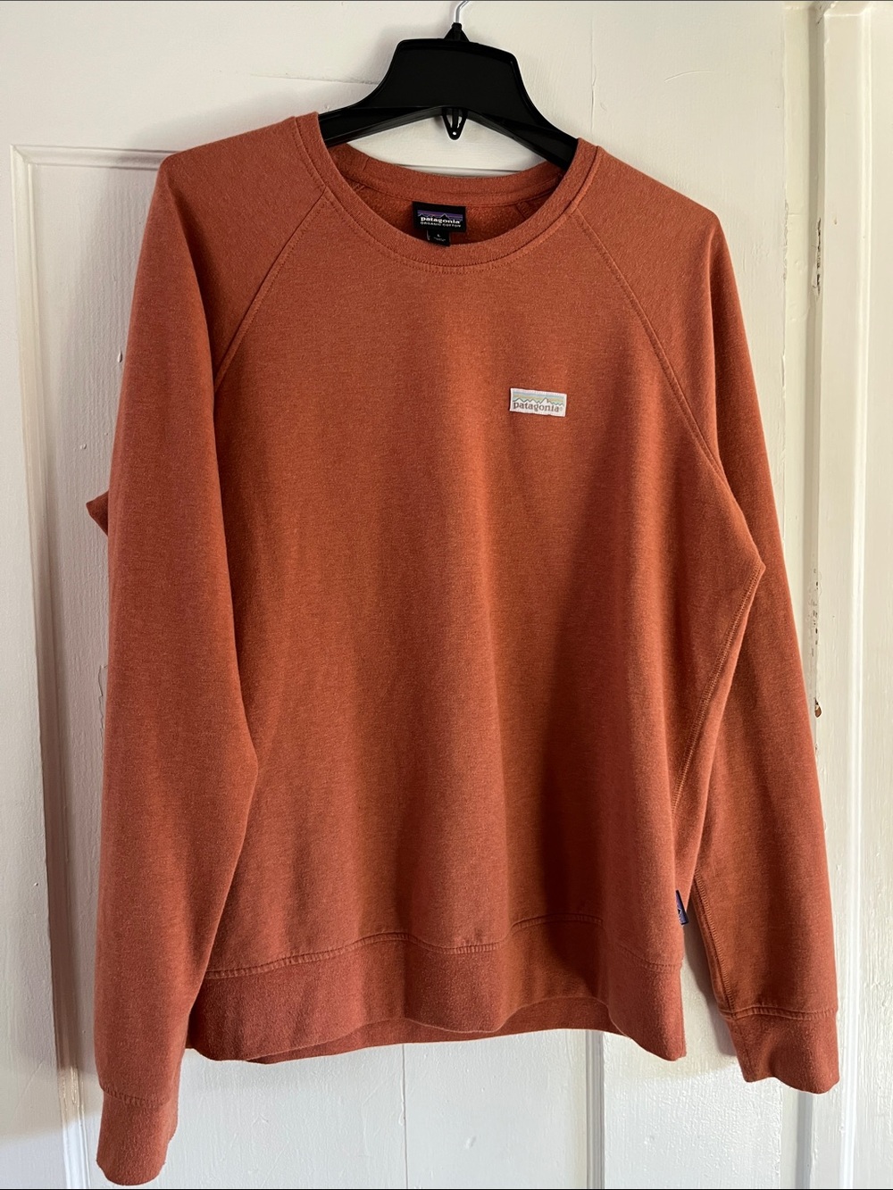 Patagonia Ahnya Crewneck Sweatshirt Barro Brown Rust FA19L